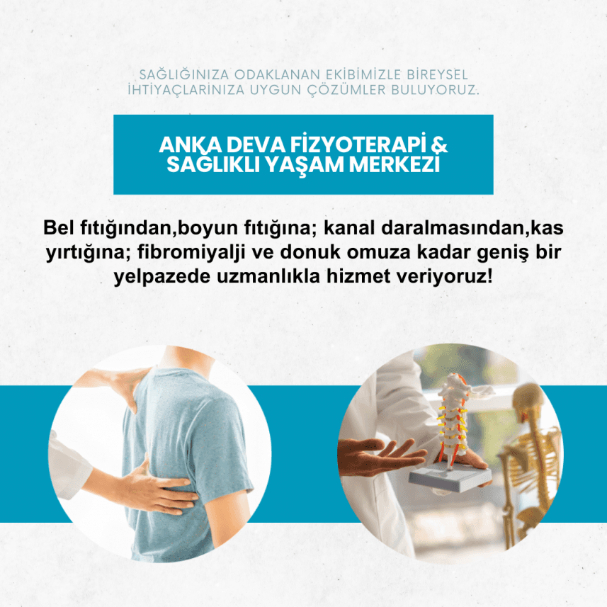 Seda Ş. — çalışma 1