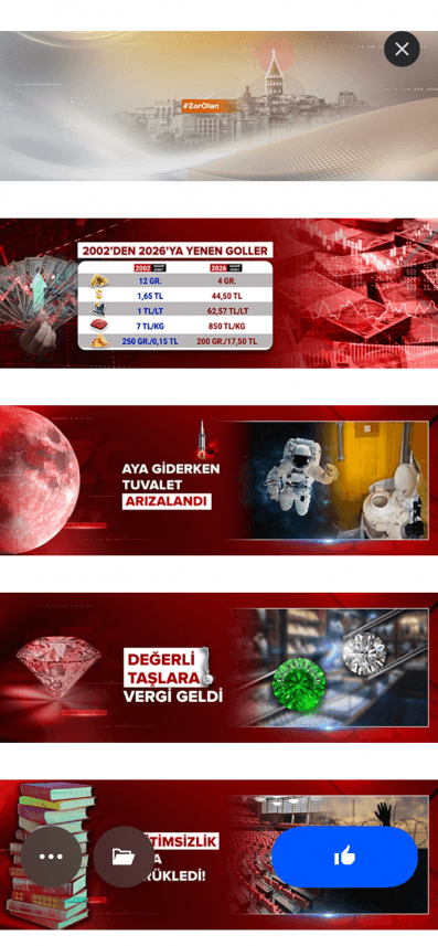Sedef D. — çalışma 2