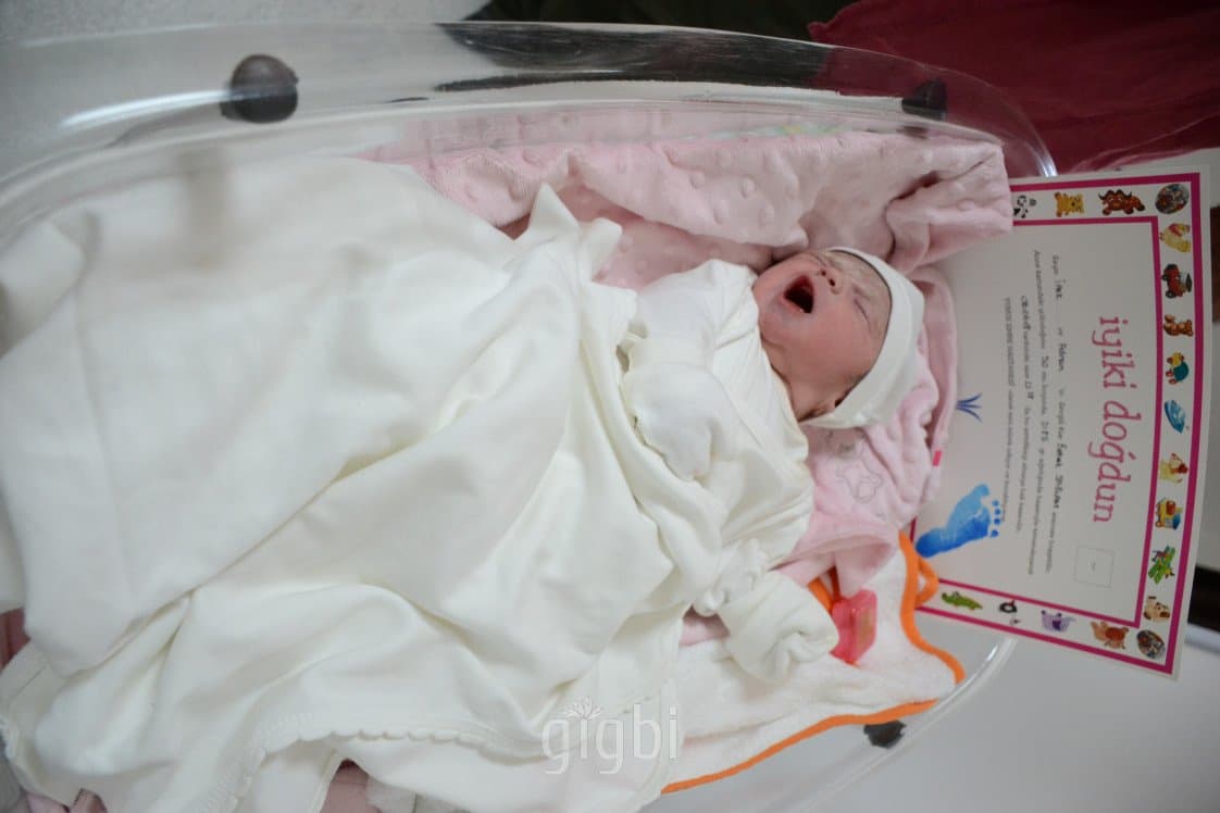 Seden U. — çalışma 6
