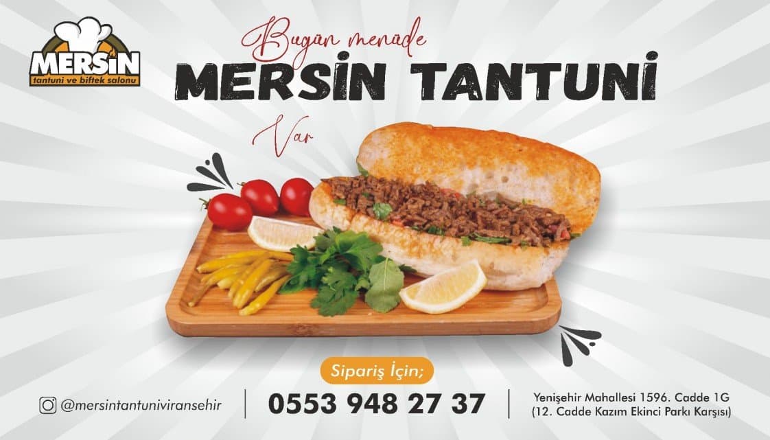 Sefa E. — çalışma 2