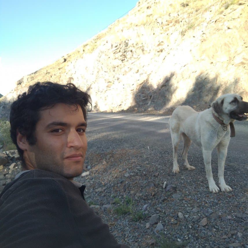 Sefa Ö. — çalışma 2