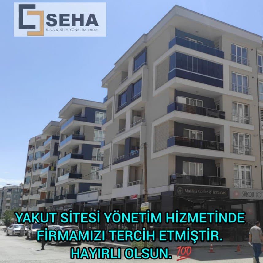 Seha Y. — çalışma 1