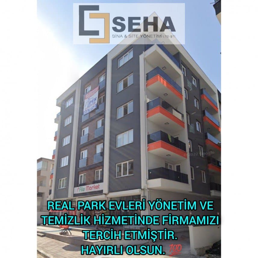 Seha Y. — çalışma 2