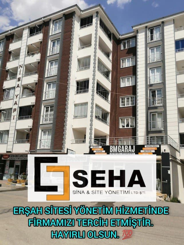 Seha Y. — çalışma 5
