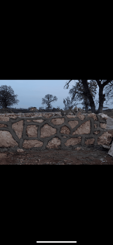 Selçuk S. — çalışma 3