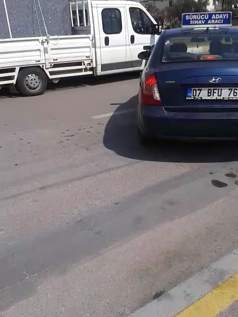 Selim İ. — çalışma 2