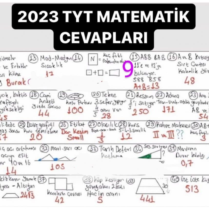 Selin A. — çalışma 1