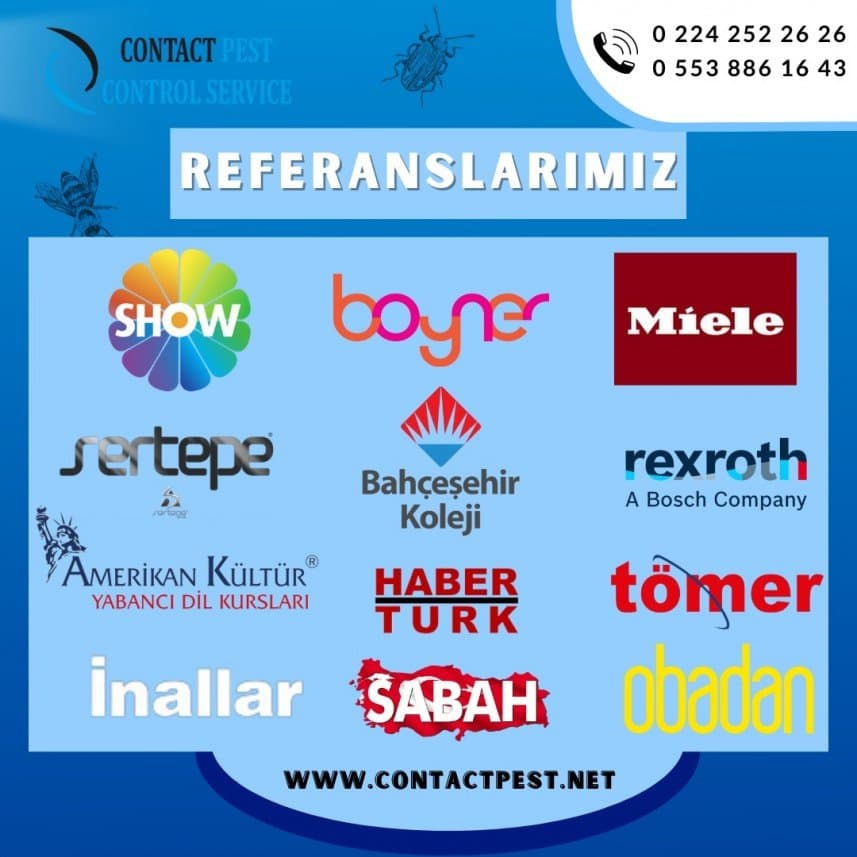 Semihcan V. — çalışma 1