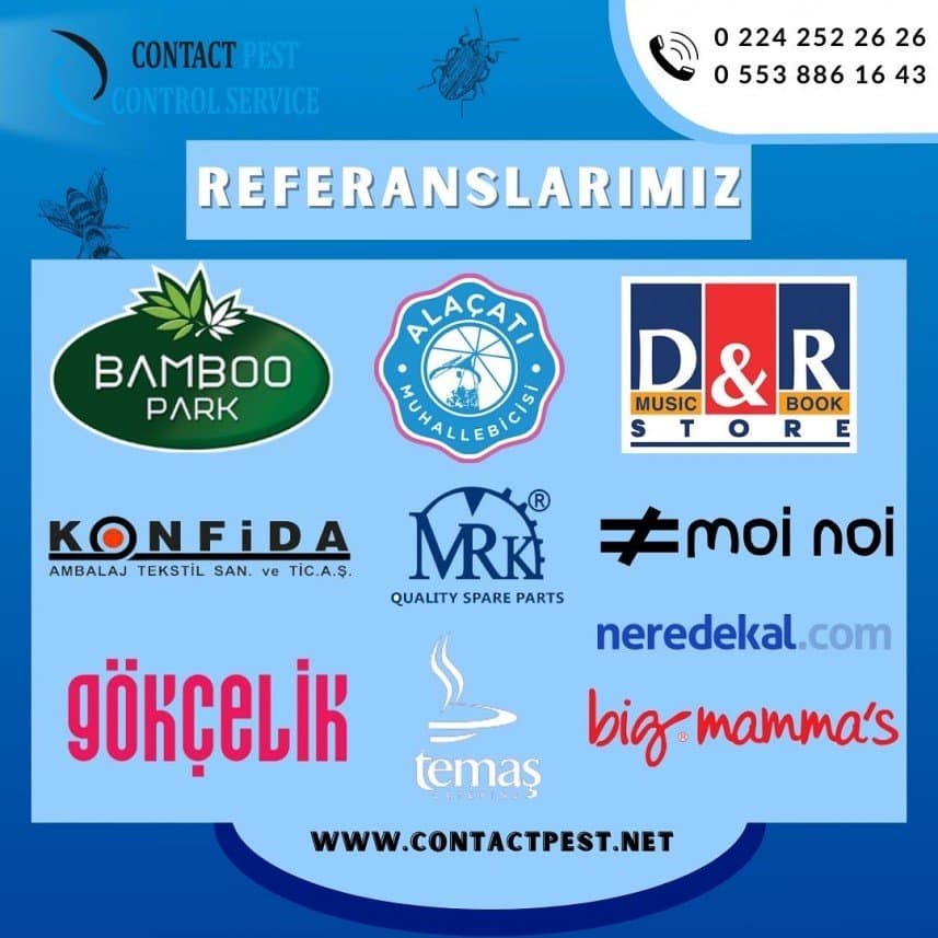 Semihcan V. — çalışma 2