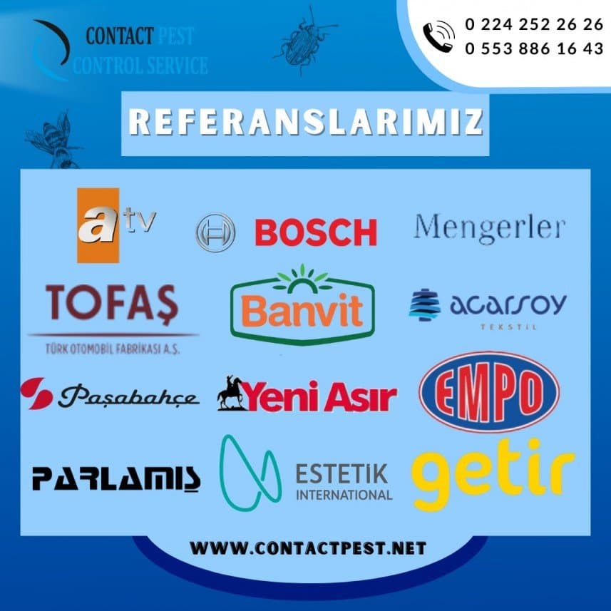 Semihcan V. — çalışma 3