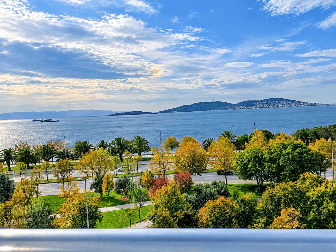 Şemsettin A. — çalışma 7