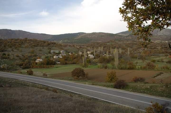 Serdar U. — çalışma 3