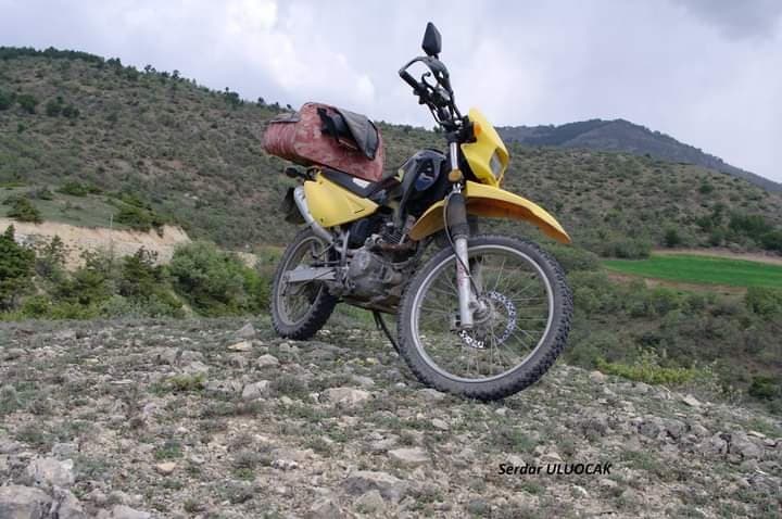 Serdar U. — çalışma 4