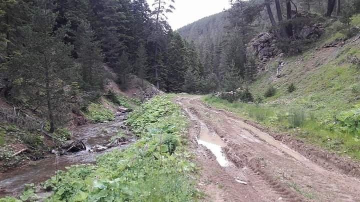 Serdar U. — çalışma 5