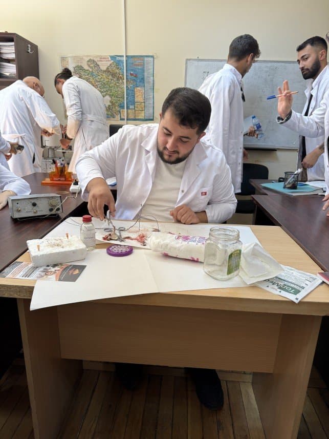 Serhat A. — çalışma 1