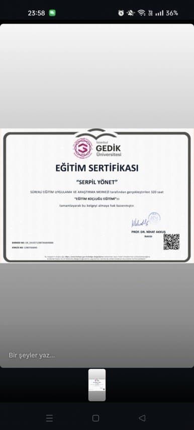 Serpil Y. — çalışma 1