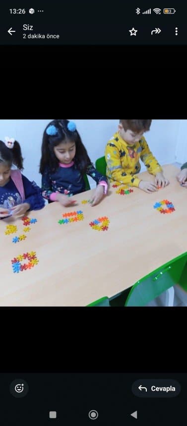 Sevgi Ç. — çalışma 1