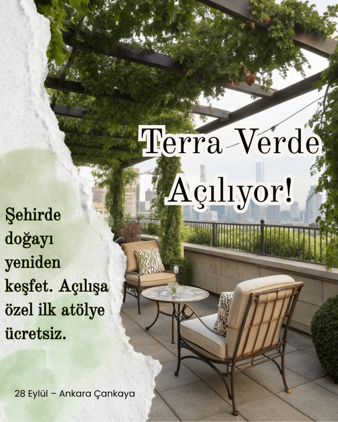 Sevim O. — çalışma 5