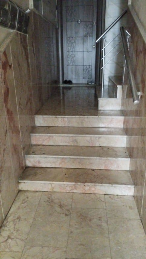 Sevincan G. — çalışma 1