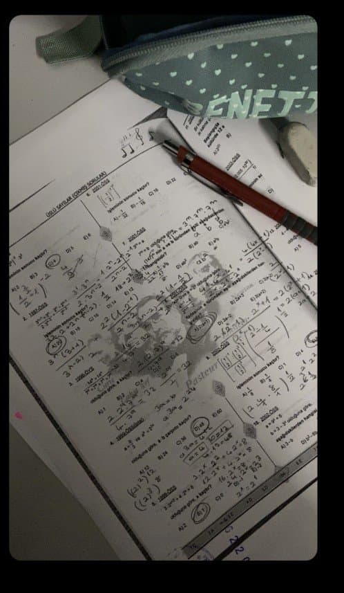 Şevvalsu Ç. — çalışma 2