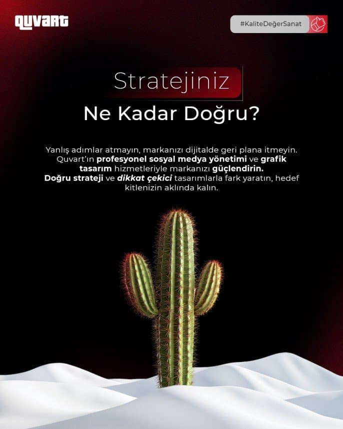 Seyit T. — çalışma 3