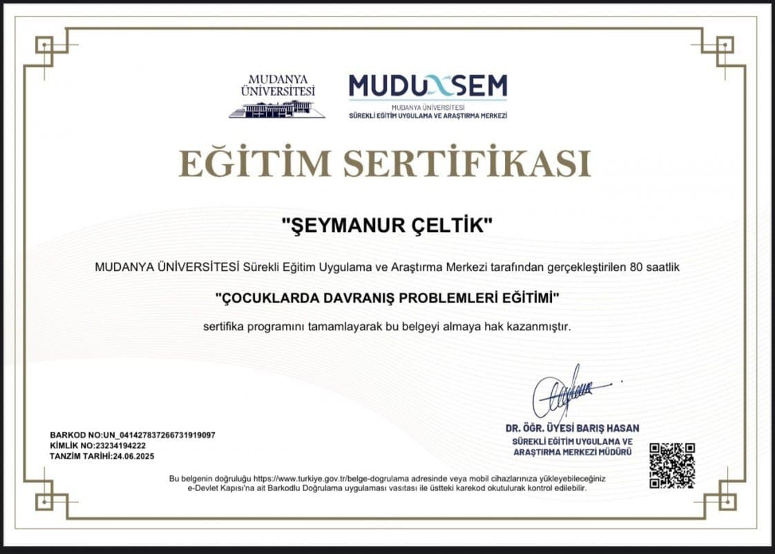 Şeymanur Ç. — çalışma 2