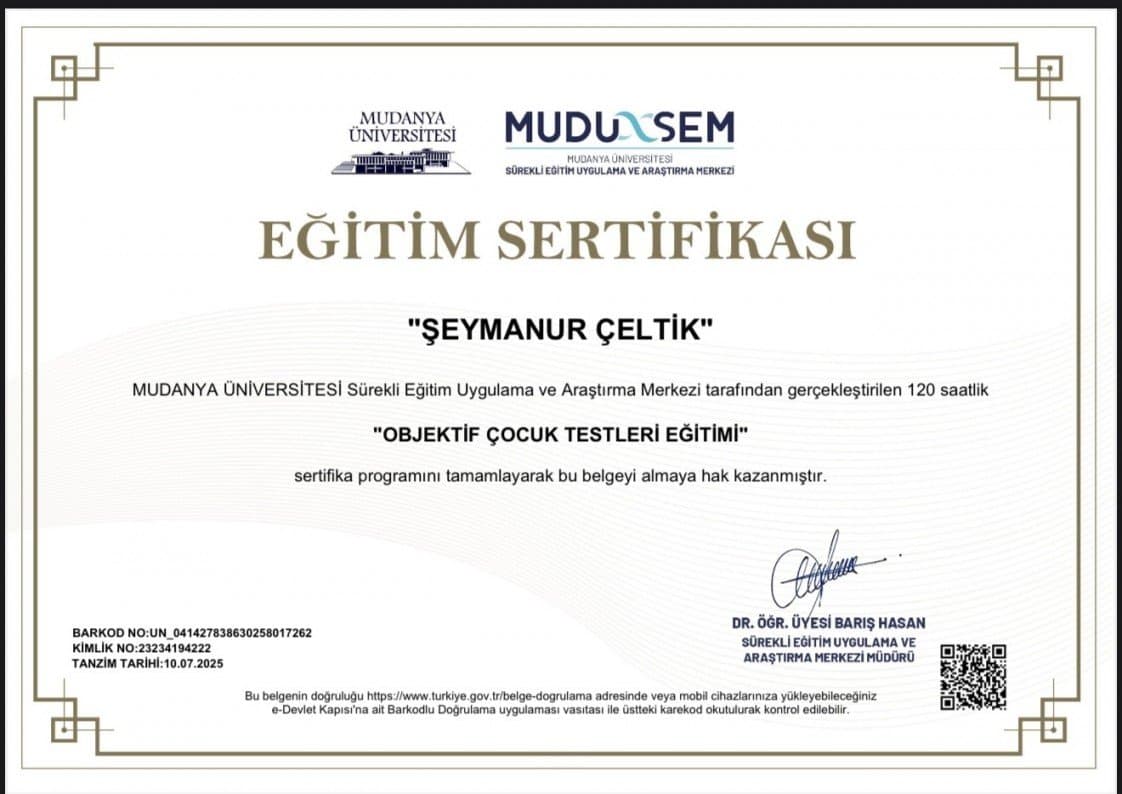 Şeymanur Ç. — çalışma 3