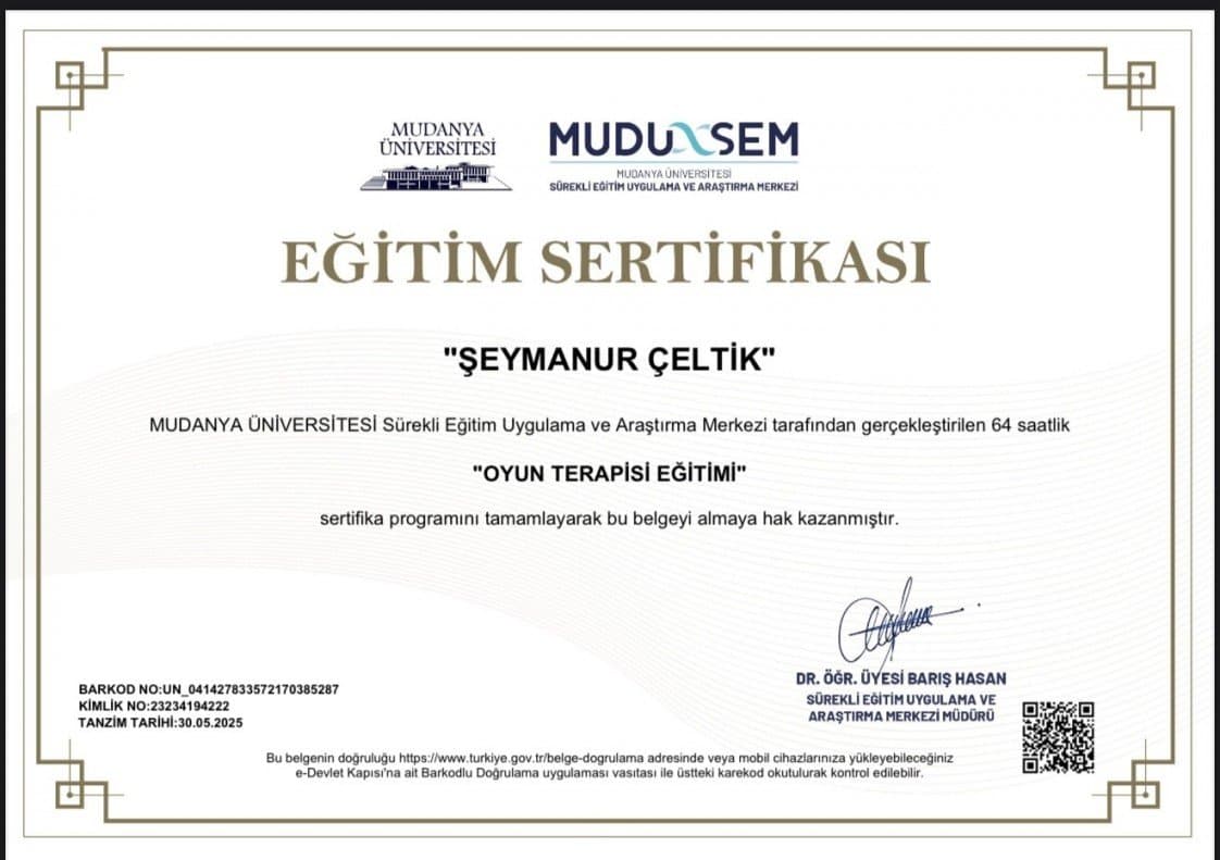 Şeymanur Ç. — çalışma 5