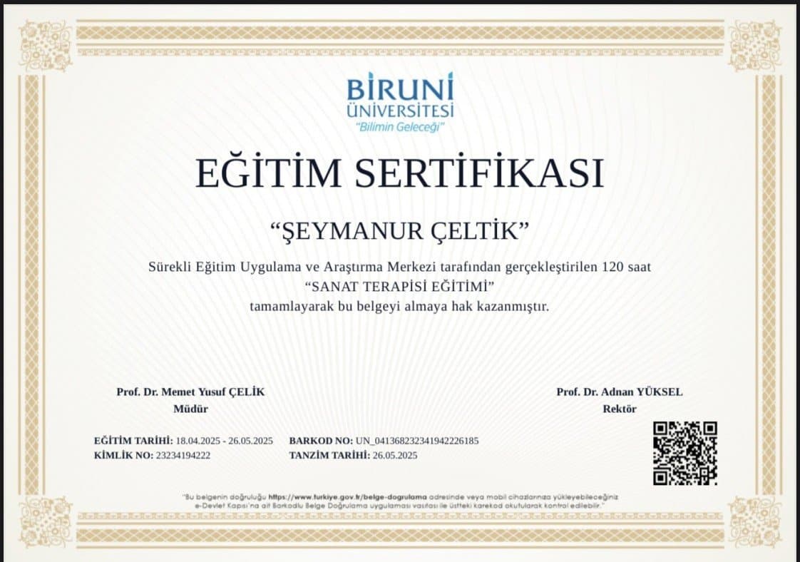 Şeymanur Ç. — çalışma 6