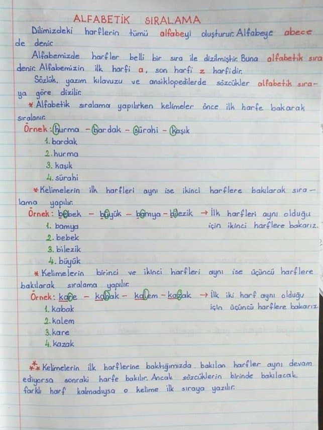 Sıla K. — çalışma 3