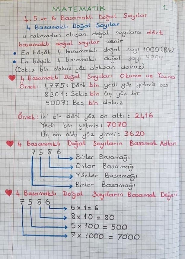 Sıla K. — çalışma 4