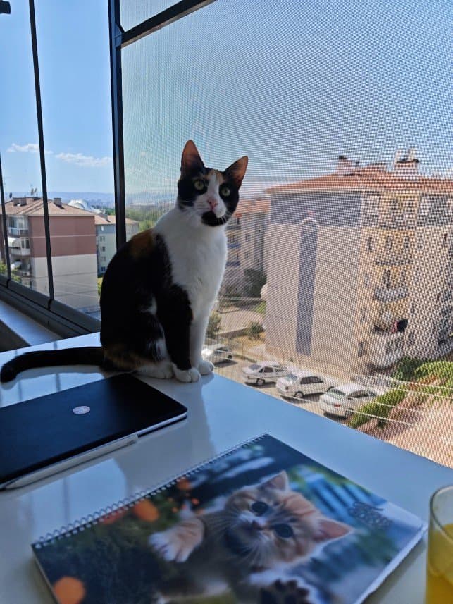 Simge Ö. — çalışma 2