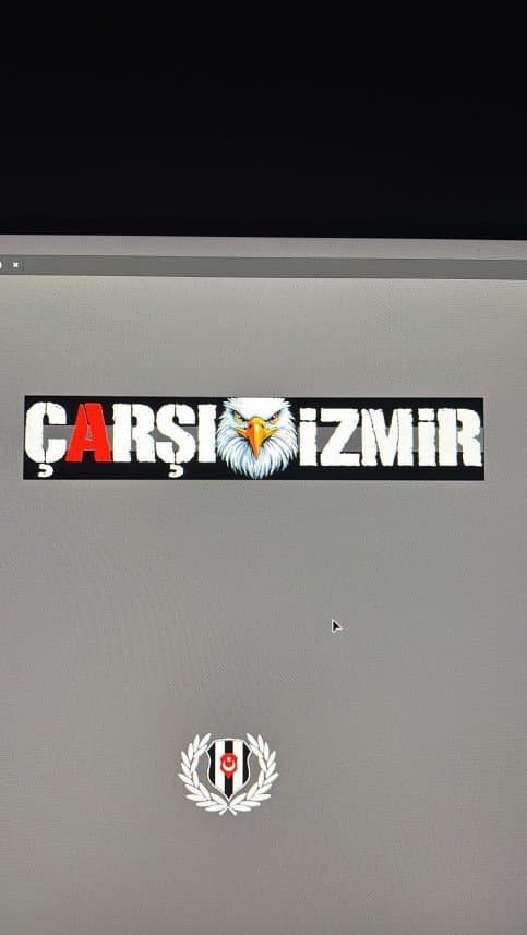 Sinan D. — çalışma 1