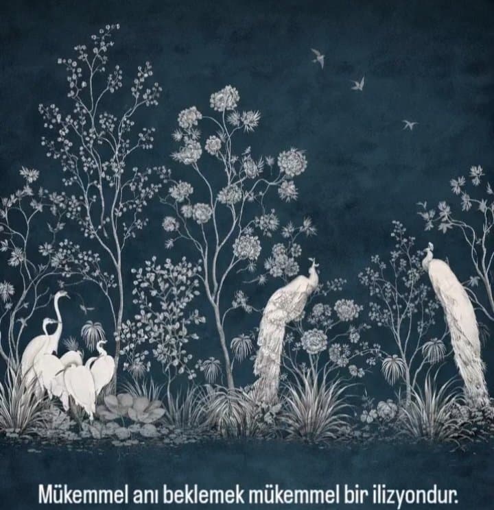 Sude D. — çalışma 1