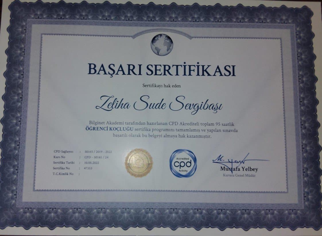 Sude S. — çalışma 2