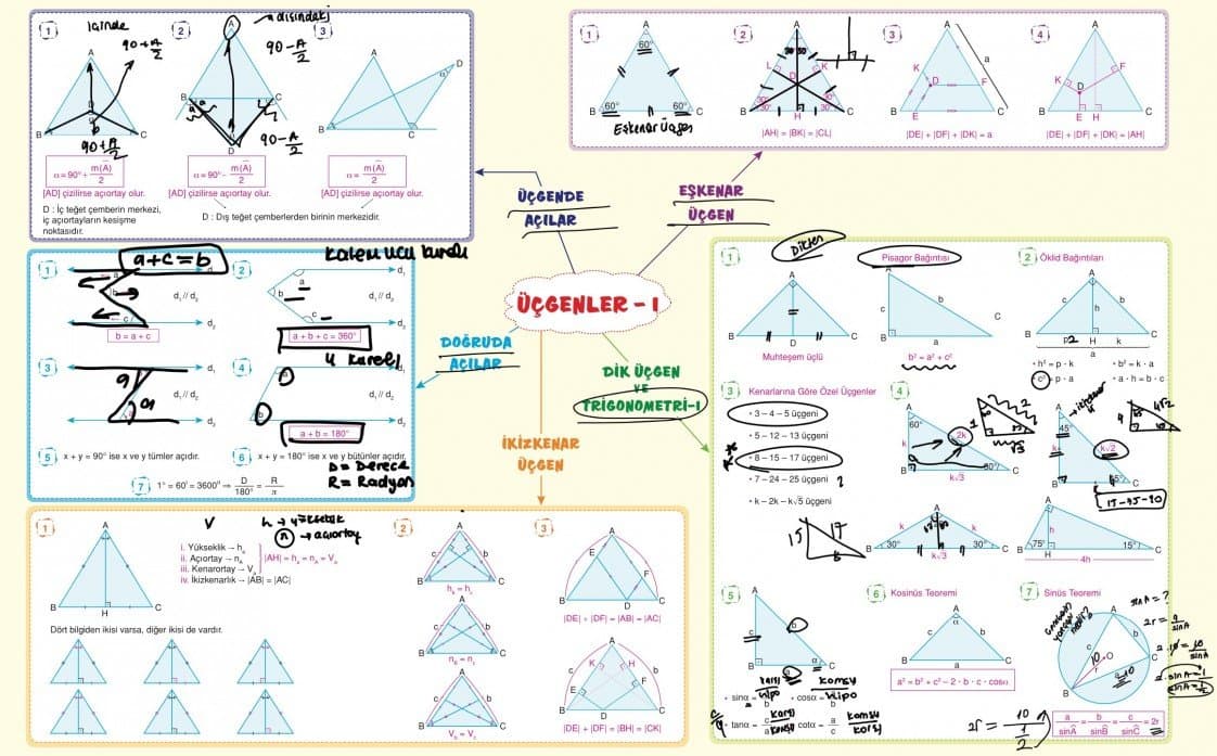 Sueda Ç. — çalışma 5