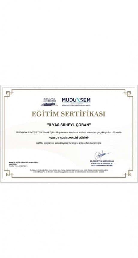 Süheyl Ç. — çalışma 1