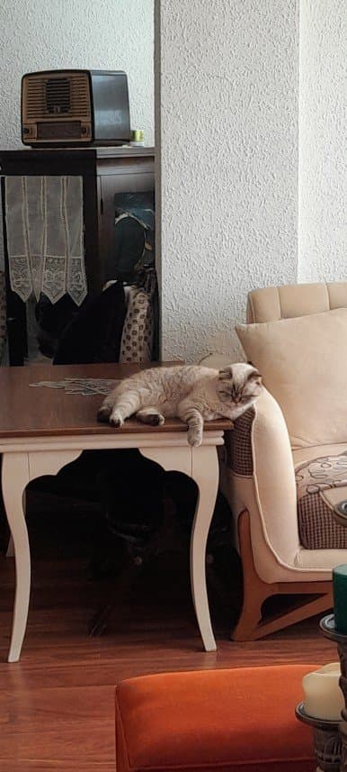 Şükan Ö. — çalışma 6