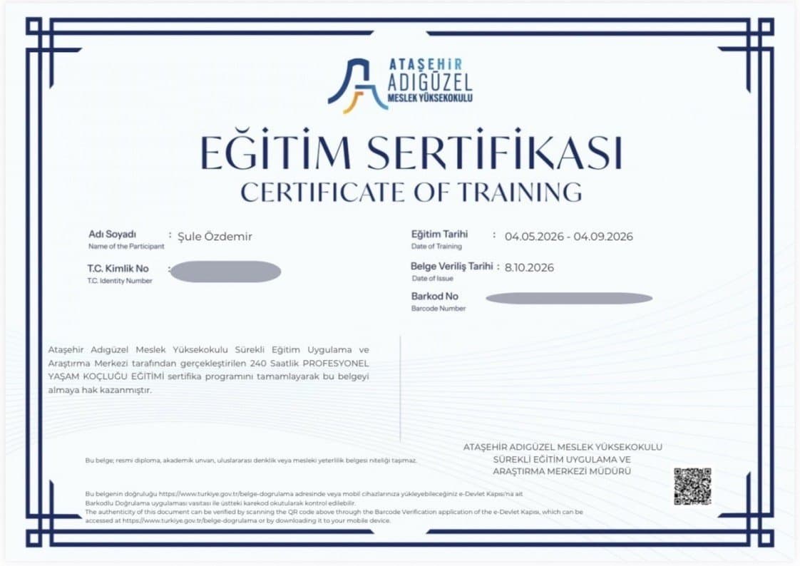 Şule Ç. — çalışma 1