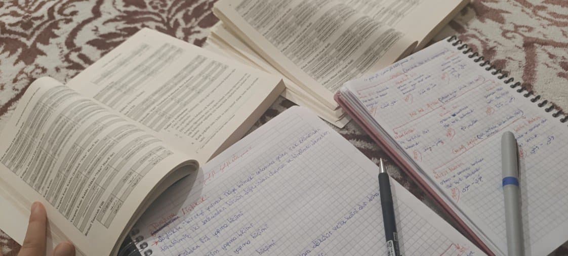 Sümeyra Ç. — çalışma 2
