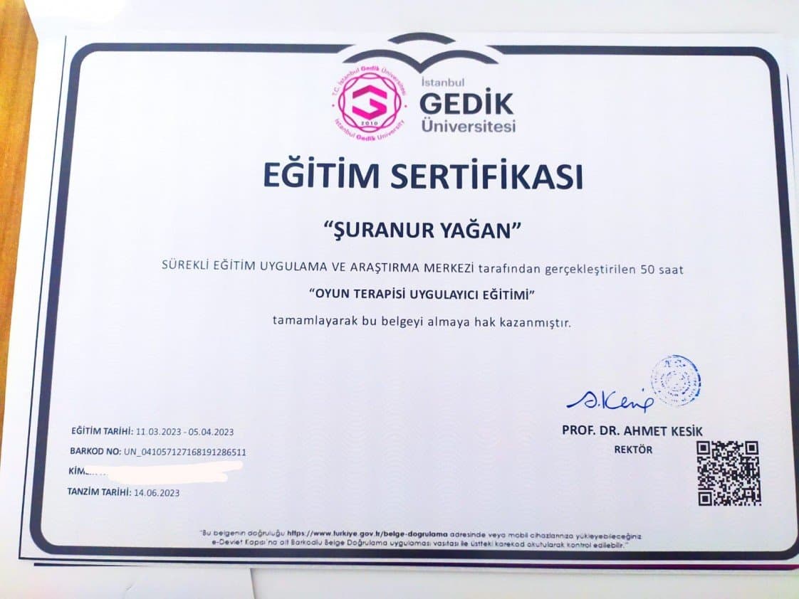 Şuranur Y. — çalışma 3