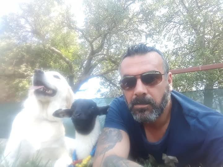 Taner L. — çalışma 3