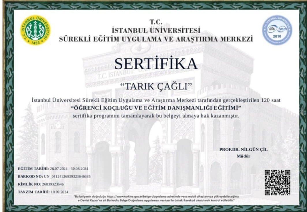 Tarık Ç. — çalışma 2