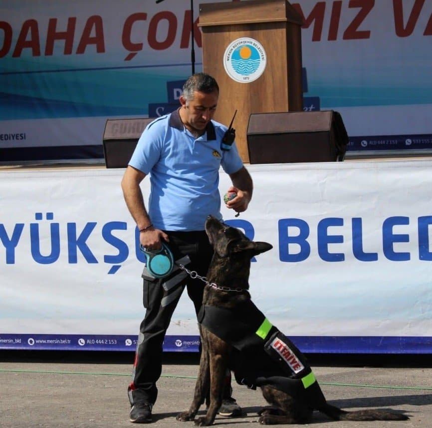 Tufan K. — çalışma 2