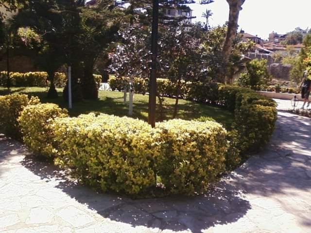 Tugay A. — çalışma 1