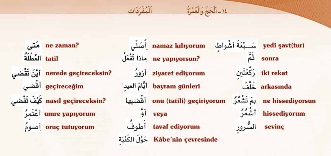 Tuğba D. — çalışma 8