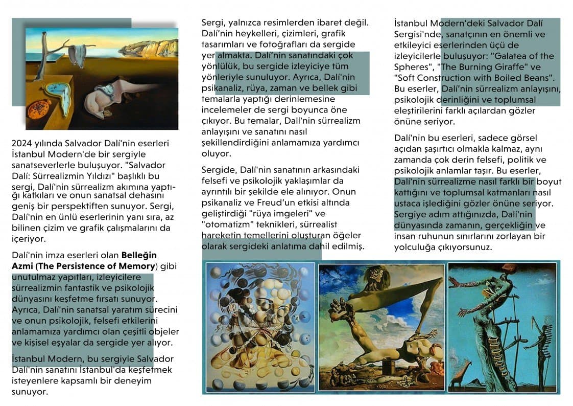 Tuğçe A. — çalışma 2