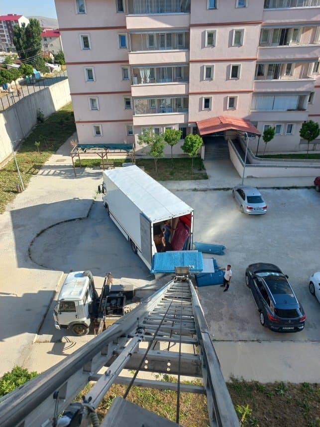Halitoğlu N. — çalışma 2