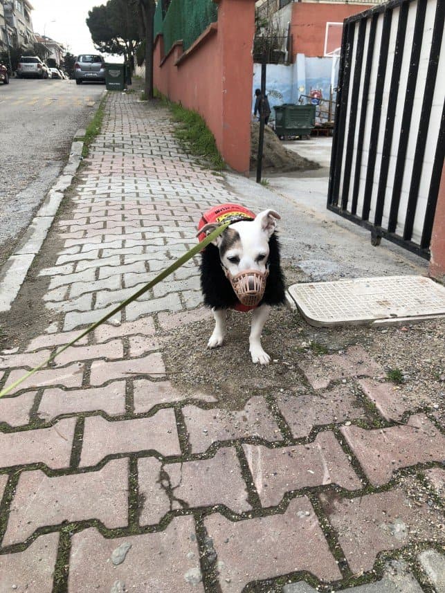 UğurB — çalışma 5