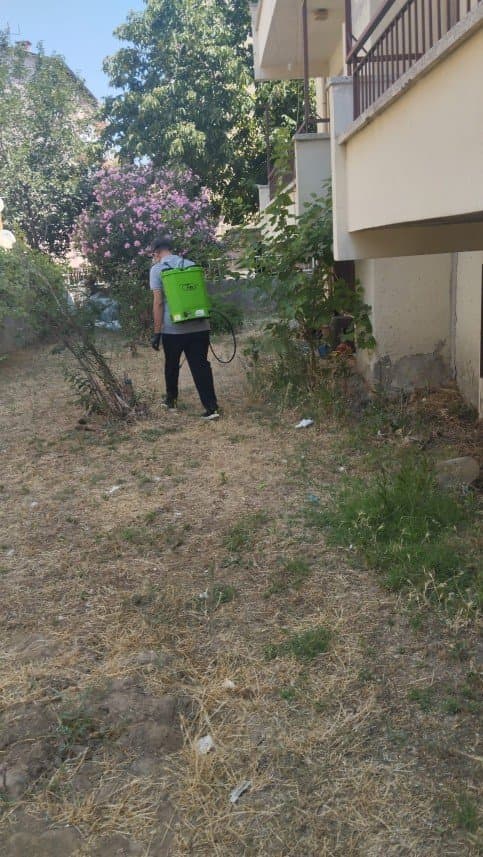 Umut Ç. — çalışma 3